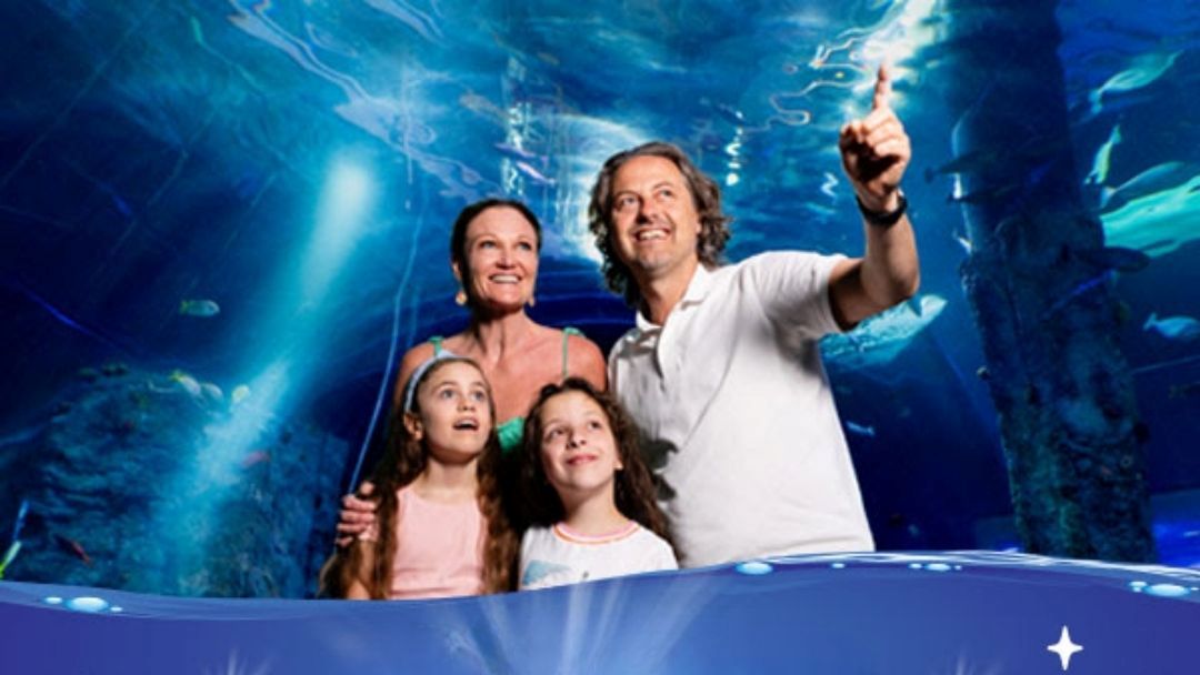 Treat Dad for $1 at Sea Life Sunshine Coast