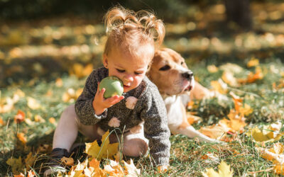 New study finds deadly paralysis ticks can hide where pet owners least expect