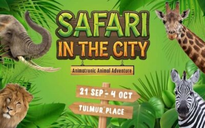 Safari in the City