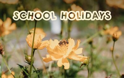 School Holidays at Alsahwa Estate