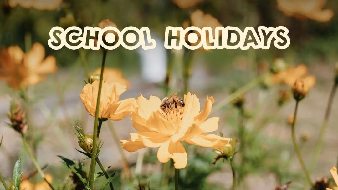 School Holidays at Alsahwa Estate
