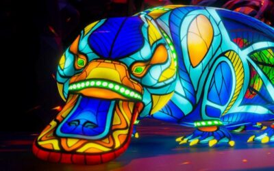 Botanic by Night: NightGlow