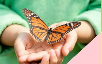 Butterfly Village