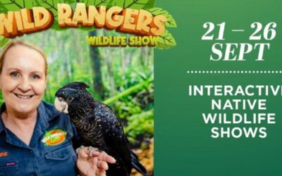 Wildlife Rangers Wildlife Show