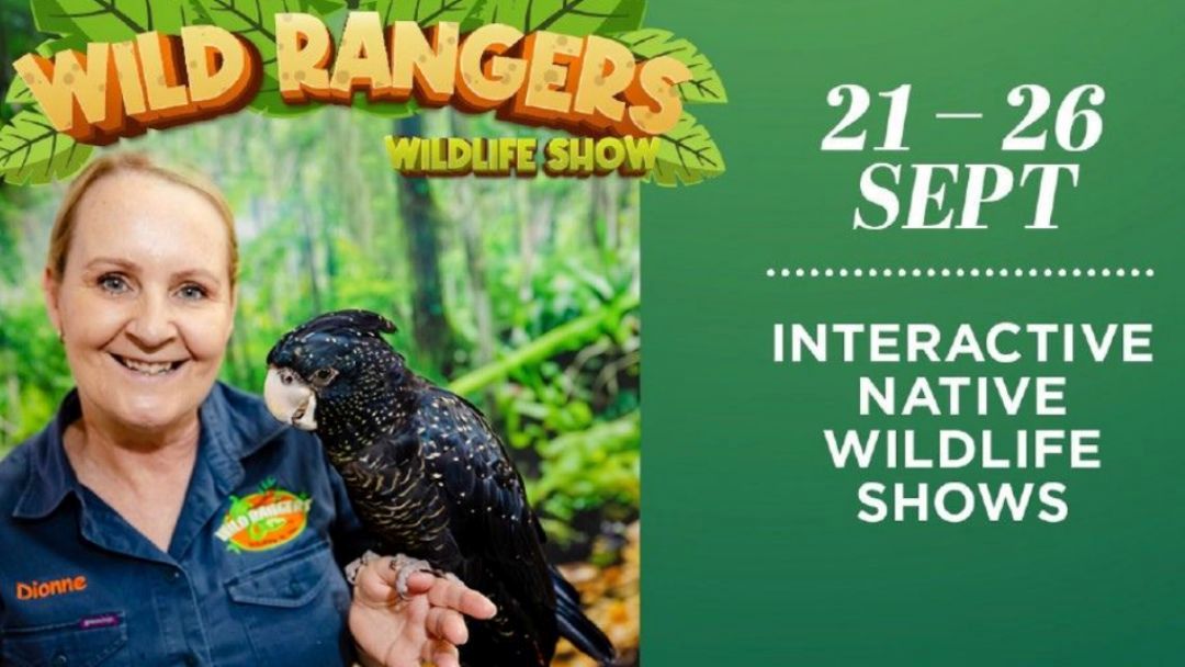 Wildlife Rangers Wildlife Show