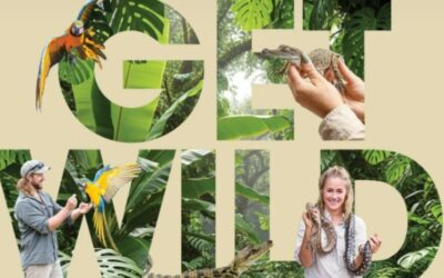 Get Wild at Nambour Plaza