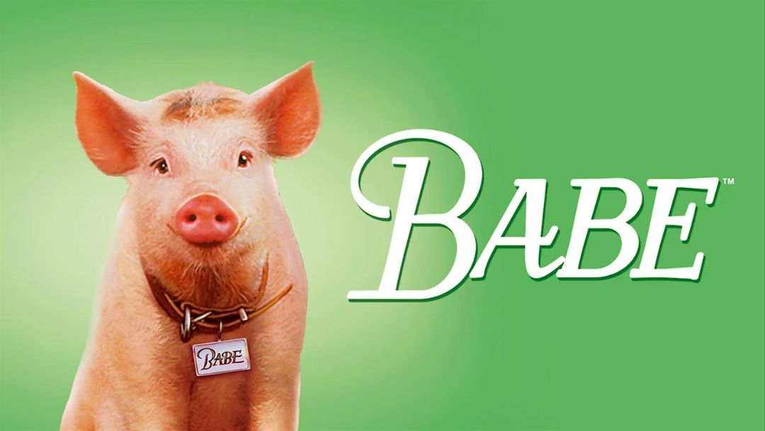 0912_sundale_movienight_babe_hero | Kids in Brisbane, Gold Coast, Sunshine Coast | Kotc Pig with a Collar and Babe Tag, Posed Against a Green Gradient Background with the Babe Logo.
