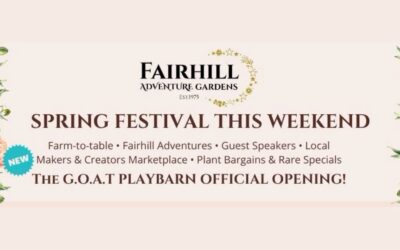 Fairhill Spring Festival