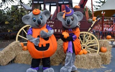 Happy Halloween at Dreamworld