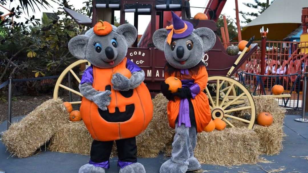 Happy Halloween at Dreamworld