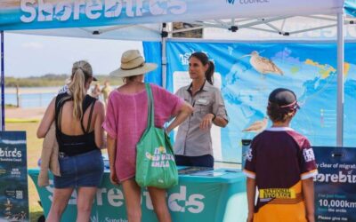 Shorebird Festival