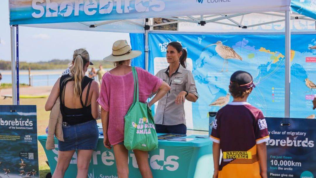 0918_sunshinecoastcouncil_shorebirdfestival_hero | Kids in Brisbane, Gold Coast, Sunshine Coast | Kotc Shorebird Festival