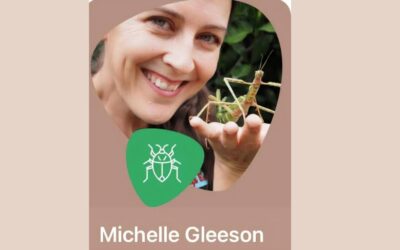 Bugs Ed by Michelle Gleeson