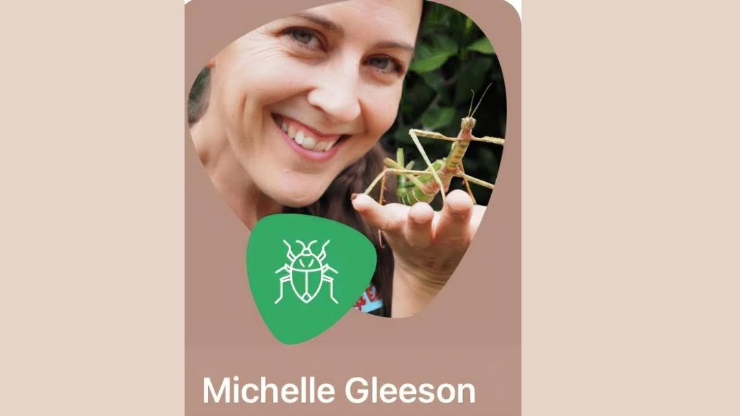 0921_veggievillage_schoolholidays_hero | Kids in Brisbane, Gold Coast, Sunshine Coast | Kotc Bugs Ed by Michelle Gleeson