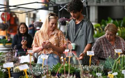 Plantapalooza