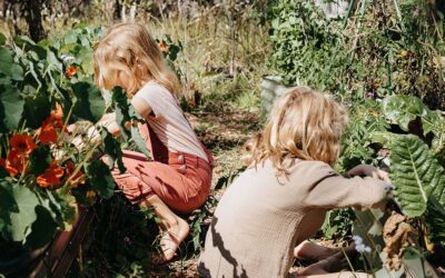 The Hinterland destination for days of discovery and wonder