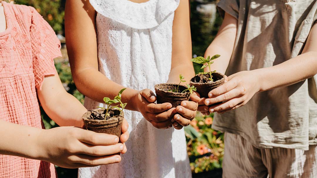 Alsahwa Estate Seedsfortomorrow_beeshr-36 | Kids in Brisbane, Gold Coast, Sunshine Coast | Kotc Three Children Hold Small Pots with Young Sprouts Outdoors, Ready for Planting.