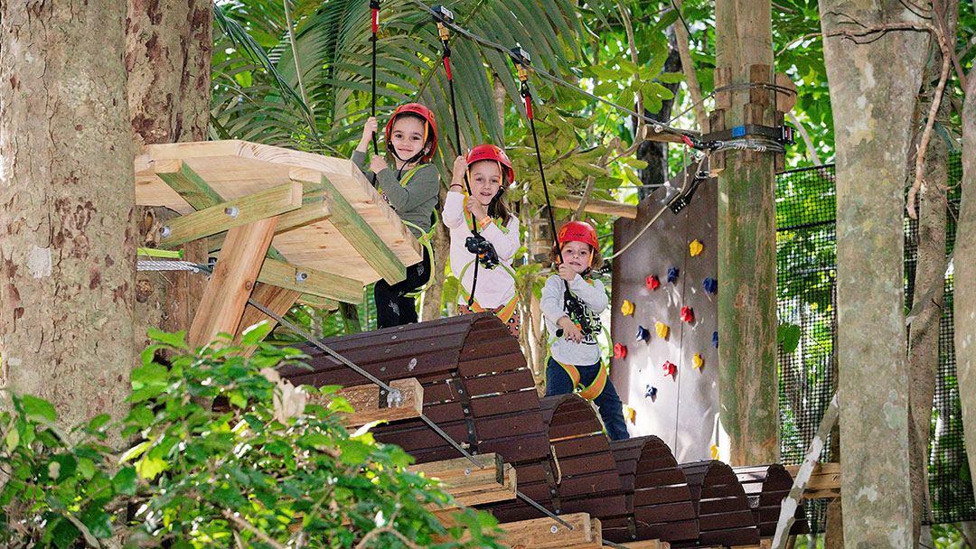 Dig-it-gold-coast-thunderbird-treetops | Kids in Brisbane, Gold Coast, Sunshine Coast | Kotc Three Children Wearing Red Helmets Navigate a Wooden Rope Course in a Lush Forest Setting.