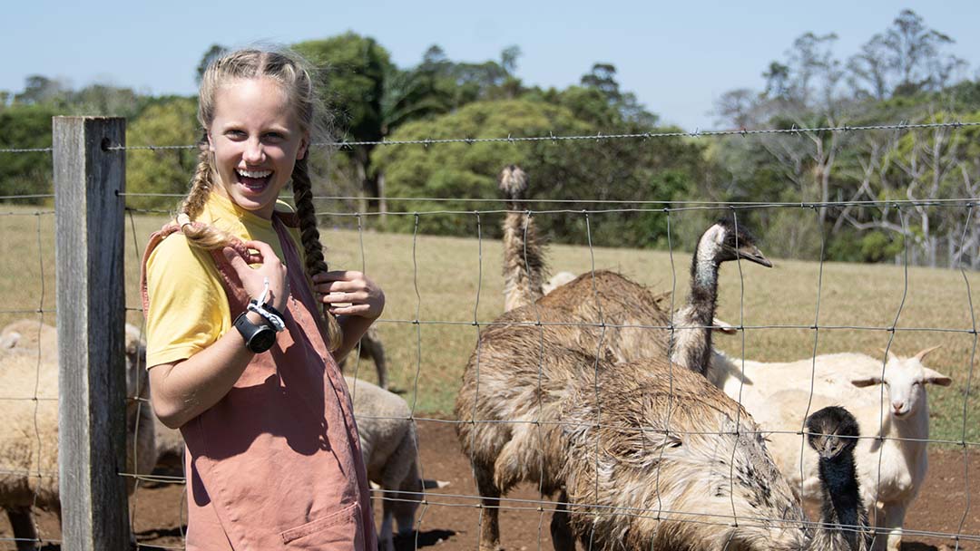 Young Woman on a Farm Beside a Wire Fence, Smiling with Braids While Ostriches and a White Sheep Stand Behind Her.