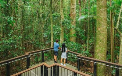Tales and trails in the Sunshine Coast Hinterland