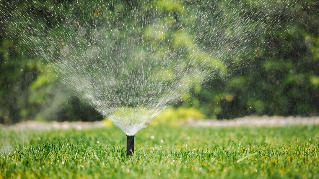Sprinkler Watering Newly Laid Turf