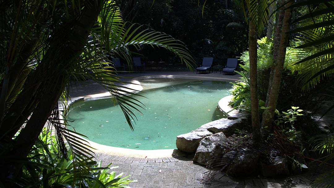 Round Outdoor Pool Surrounded by Tropical Plants and Lounge Chairs in a Sunny Garden, Framed by Palm Fronds.