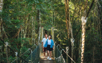 Where Wonder Grows Wild: A Family Adventure at O’Reilly’s