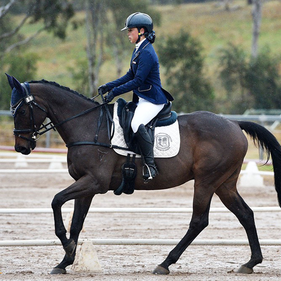Rider in Navy Jacket and Helmet Atop a Dark Horse Performing a Dressage Maneuver in a Sandy Arena with White Fencing.