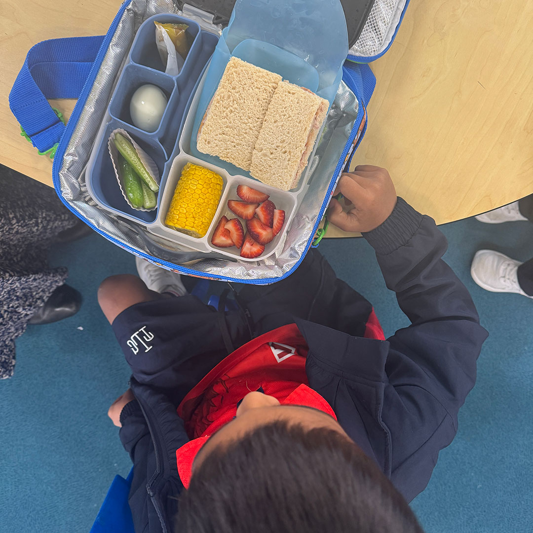 The-lakes-college-lunchbox | Kids in Brisbane, Gold Coast, Sunshine Coast | Kotc Open Lunchbox with Two Sandwich Halves, Corn on the Cob, Strawberries, Cucumber Spears, and a Hard-boiled Egg; Child Reaches for It.