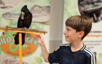 NaturallyGC: Birds of Flight