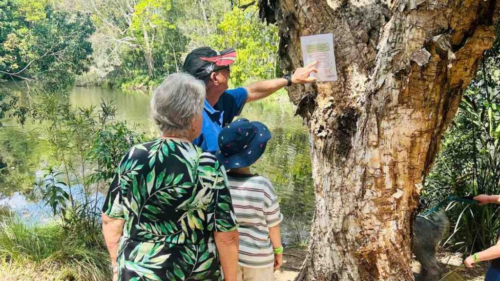 Fairhill Adventure Gardens: a Nature-filled Family Escape on the Sunshine Coast