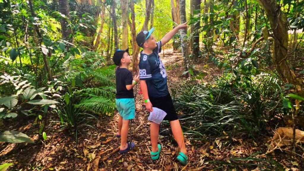 Fairhill Adventure Gardens: a Nature-filled Family Escape on the Sunshine Coast