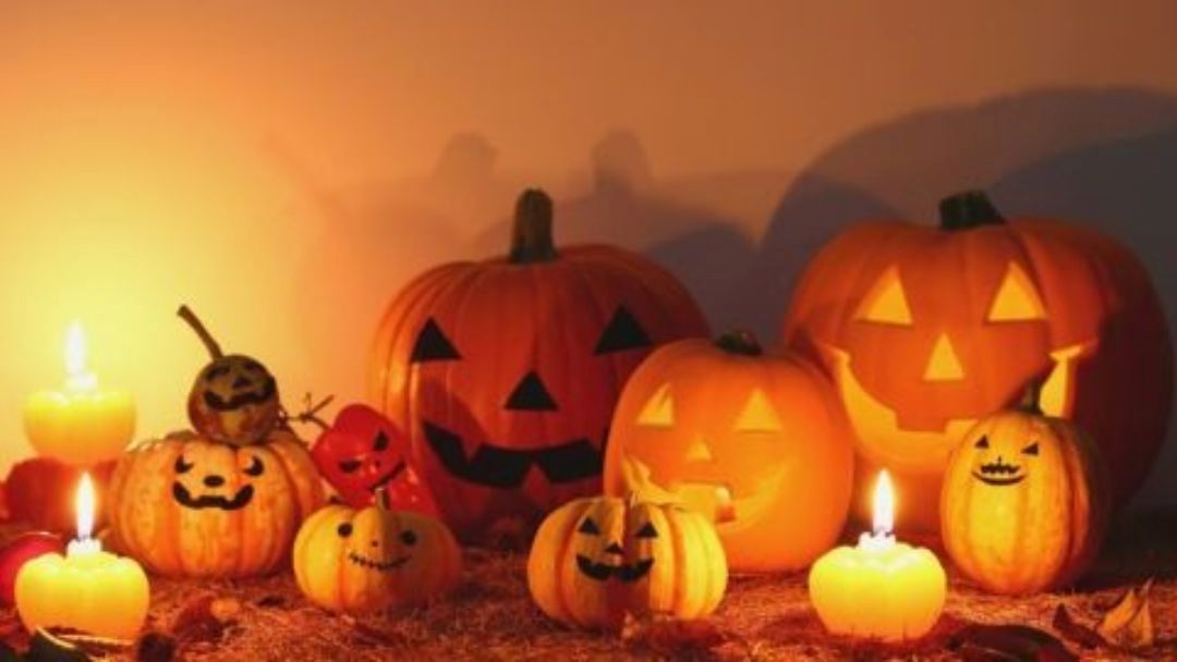 1013_pineriversmuseum_halloween_hero | Kids in Brisbane, Gold Coast, Sunshine Coast | Kotc a Warm Halloween Scene with Lit Jack-o'-lanterns of Various Sizes Arranged on a Table or Floor. Many Carved Faces Glow from Candlelight.