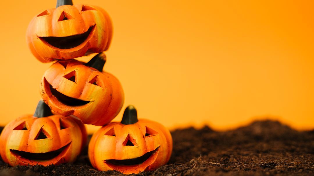 1013_sandstavern_halloween_hero | Kids in Brisbane, Gold Coast, Sunshine Coast | Kotc Halloween at Sands Tavern