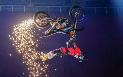 Bikes & Bulls