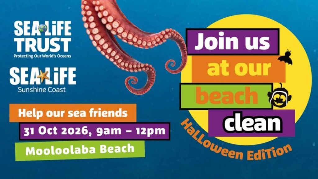 Beach Clean Up: Spooky Edition