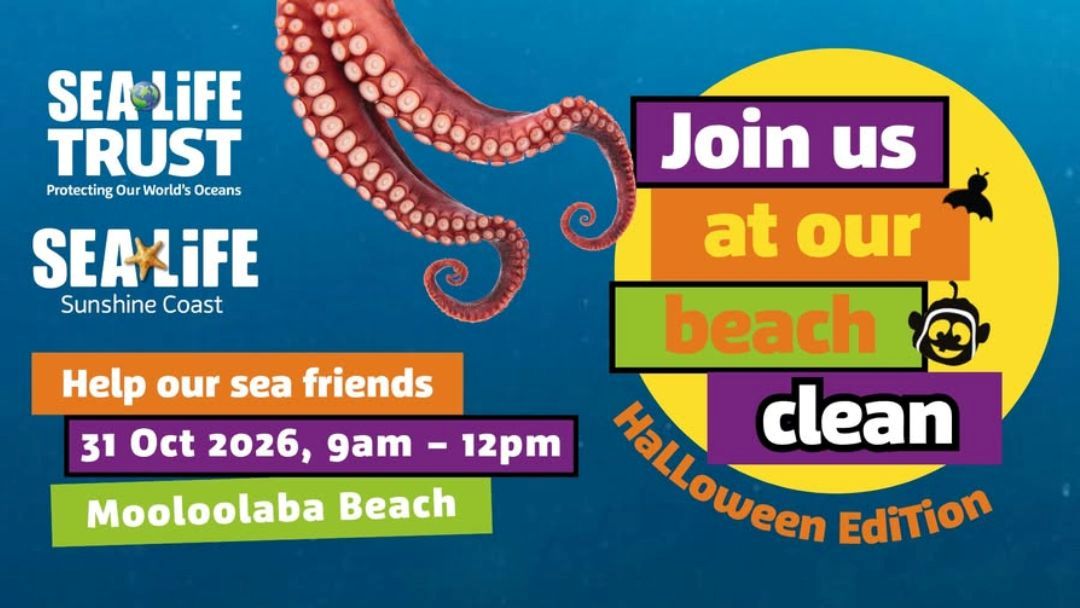 1022_sealifesunshinecoast_halloween_hero | Kids in Brisbane, Gold Coast, Sunshine Coast | Kotc Beach Clean Up: Spooky Edition